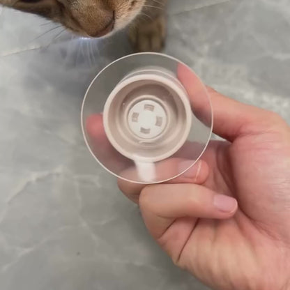 FeliPlay™ – Jouet interactif